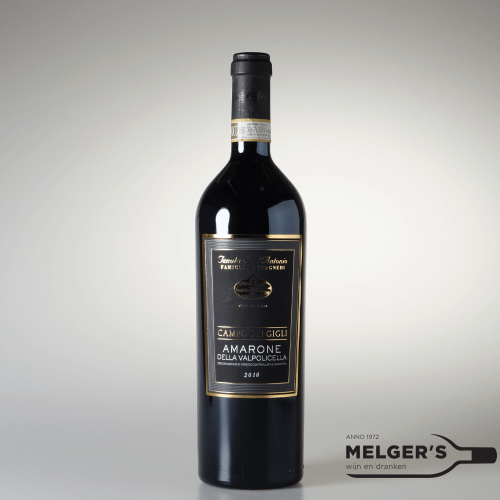 Amarone della Valpolicella C de Gigli Fam. Castagnedi 75cl